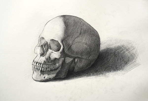 KatyaHeld_Skull
