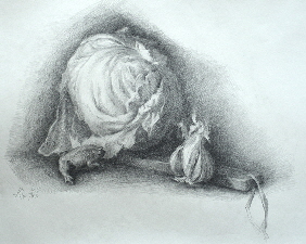 KatyaHeld_FoundInCabbage_PencilPaper_16x19