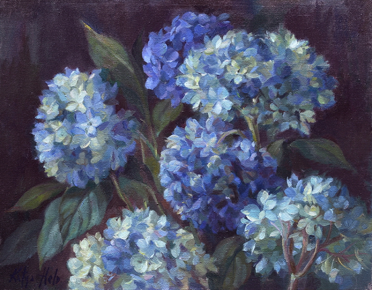 Hydrangeas. 2017