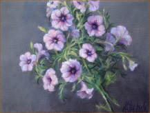 Petunias. 2014