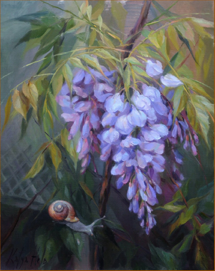 Wisteria. 2013