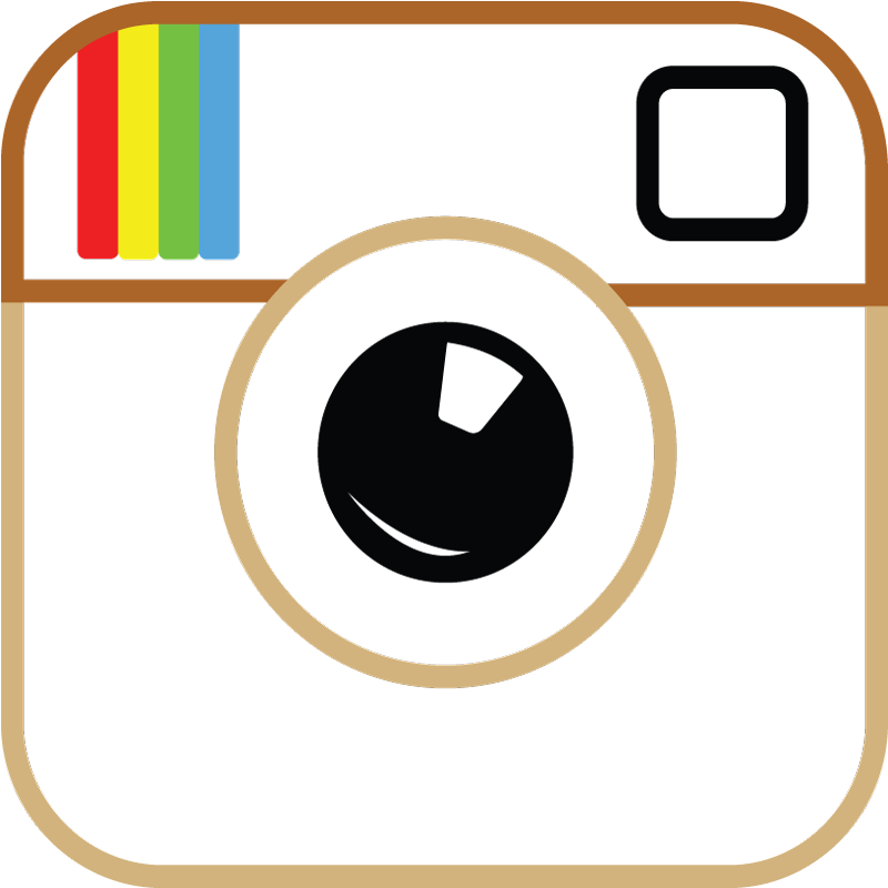 instagram_logo_transparent_background_vector